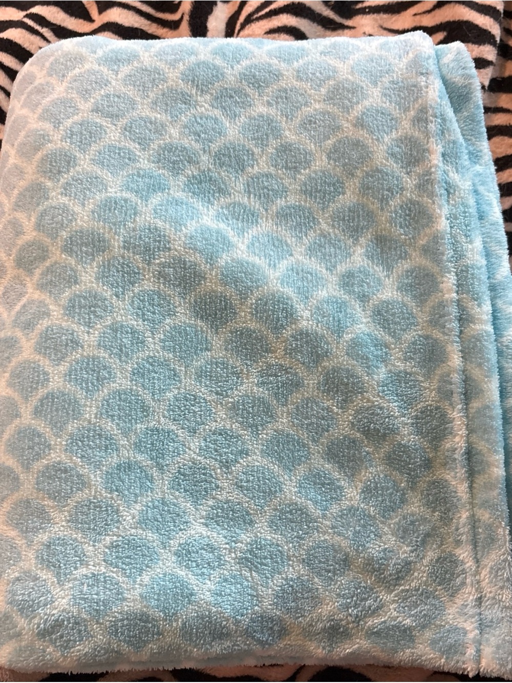 Target Light Blue Scallop Plush Throw Blanket